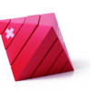 Diamant Swiss 1 Jan 2011 005